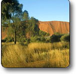 Uluru - Kata Tjuta National Park - Holiday Find