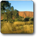 Uluru - Kata Tjuta National Park - Holiday Find 0