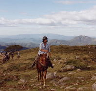High Country Horses - Holiday Find