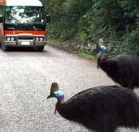 Kookaburra Tours - Holiday Find