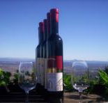 Mount Tamborine Winery  Homestead