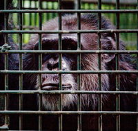 Rockhampton Zoo - Holiday Find