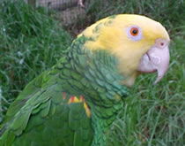 Gorge Wildlife Park - Holiday Find 3