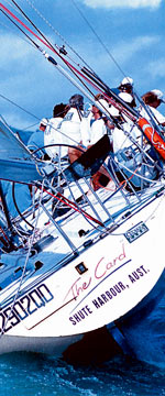 Koala Adventures - Holiday Find 1