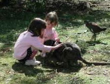 Urimbirra Wildlife Park - Holiday Find 1