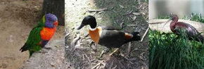 Urimbirra Wildlife Park - Holiday Find 2