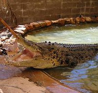 Wyndham Zoological Gardens and Crocodile Park - Holiday Find