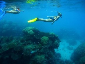 Three Islands Whale Shark Dive - Holiday Find 3