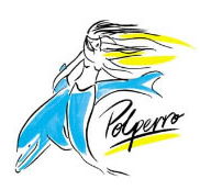 Polperro Dolphin Swims - Holiday Find