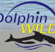 Dolphin Wild - Holiday Find