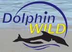 Dolphin Wild - Holiday Find 0