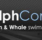Dolphcom - Dolphin  Whale Swimming Adventures - Holiday Find