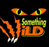 Something Wild - Holiday Find