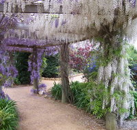 Abingdon Miniature Village - Holiday Find