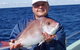 Bravo Fishing Charters - thumb 3