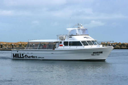 Mills Charters Fishing And Whale Watch Cruises - Holiday Find 1