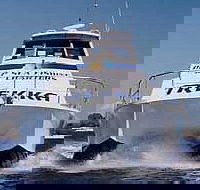 Sunshine Coast Fishing Charters - Holiday Find