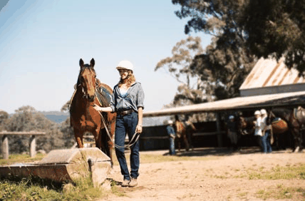 Watsons Trail Rides - Holiday Find