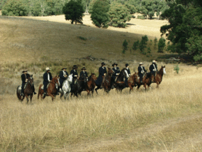 McCormacks Mountain Valley Trail Rides - Holiday Find