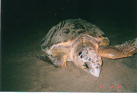 Footprints Adventures - Holiday Find 0