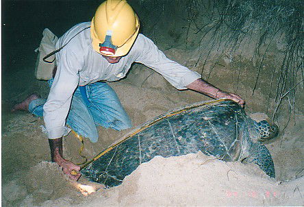 Footprints Adventures - Holiday Find 2