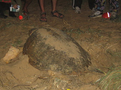Footprints Adventures - Holiday Find 3