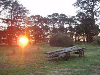 Point Cook Homestead - Holiday Find 0