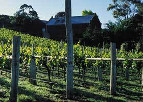 Goona Warra Vineyard - Holiday Find 1