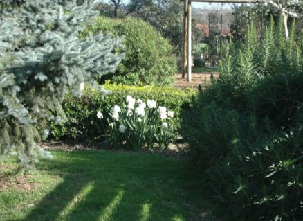 The Old Cheese Factory - Holiday Find 2