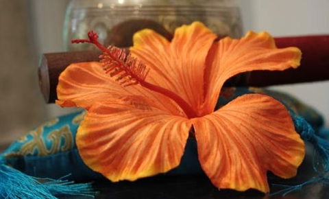 Annasha Day Spa Retreat - Holiday Find 5