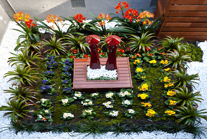 Masci Hair & Spa - Holiday Find 4