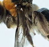 Western Australian Museum - Holiday Find