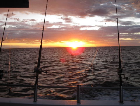 Blue Juice Charters - Holiday Find 5