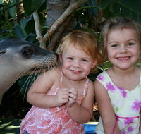 Dolphin Marine Magic - Holiday Find