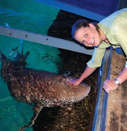 National Zoo & Aquarium - Holiday Find 7