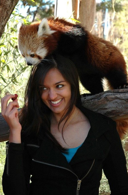 National Zoo & Aquarium - Holiday Find 8