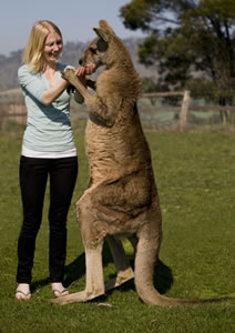 Zoo Doo Wildlife Park - Holiday Find 5