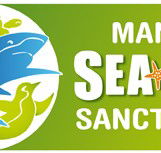 Manly SEA LIFE Sanctuary - Holiday Find