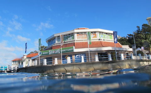 Manly SEA LIFE Sanctuary - Holiday Find 2