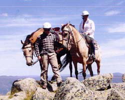 High Country Horses - Holiday Find 3