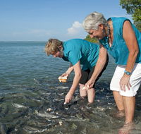 Aquascene Fish Feeding Sanctuary - Holiday Find