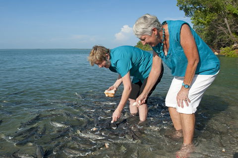 Aquascene Fish Feeding Sanctuary - Holiday Find 0