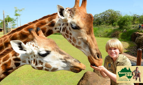 Australia Zoo - Holiday Find 4