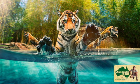 Australia Zoo - Holiday Find 9