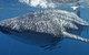 Three Islands Whale Shark Dive - thumb 7