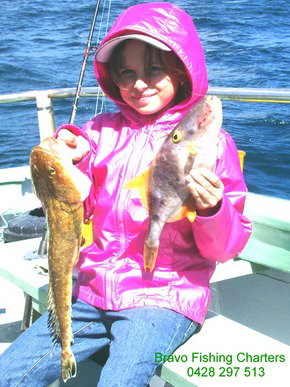 Bravo Fishing Charters - Holiday Find 5