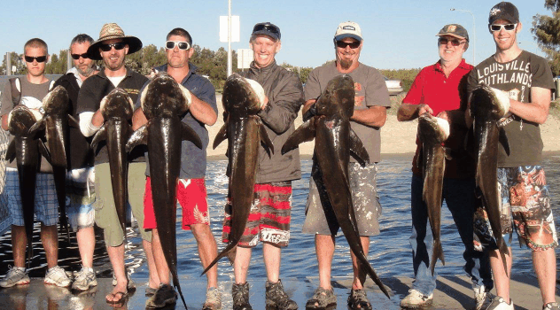 BKs Gold Coast Fishing Charters - Holiday Find 1