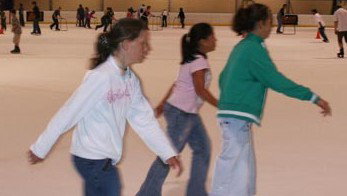 Hunter Ice Stadium - Holiday Find 4