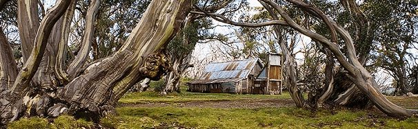 High Country Scenic Tours - Holiday Find