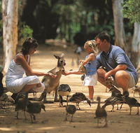 Billabong Sanctuary - Holiday Find